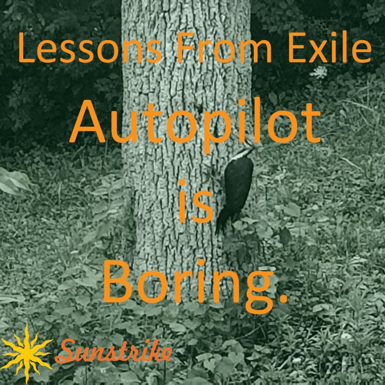 Lessons from Exile #22: Autopilot Is Boring