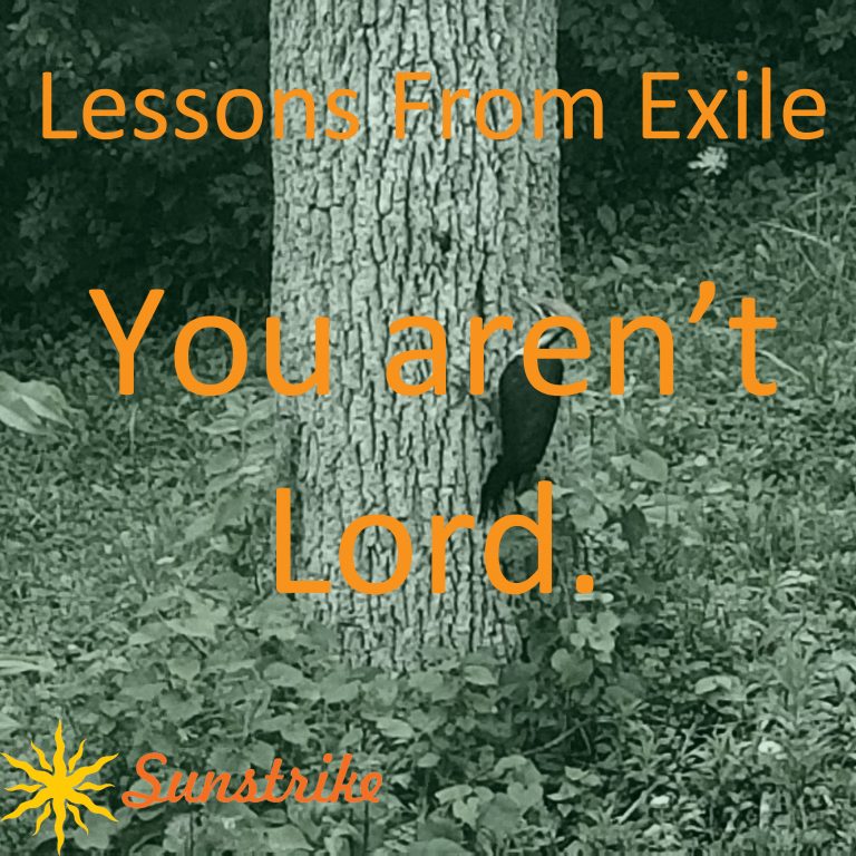 Lessons from Exile #25: You Aren’t Lord