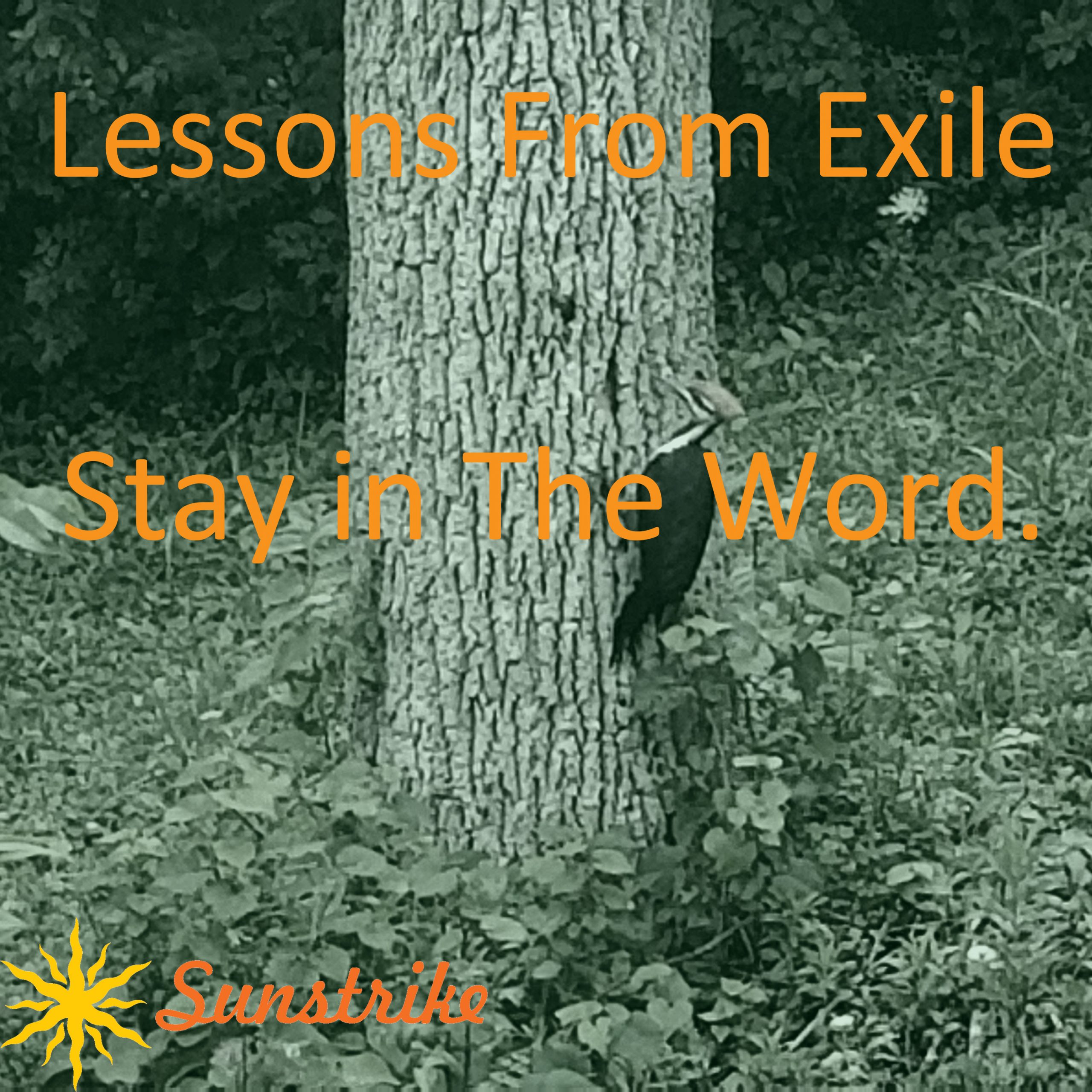 Lessons from Exile #27: Stay In The Word