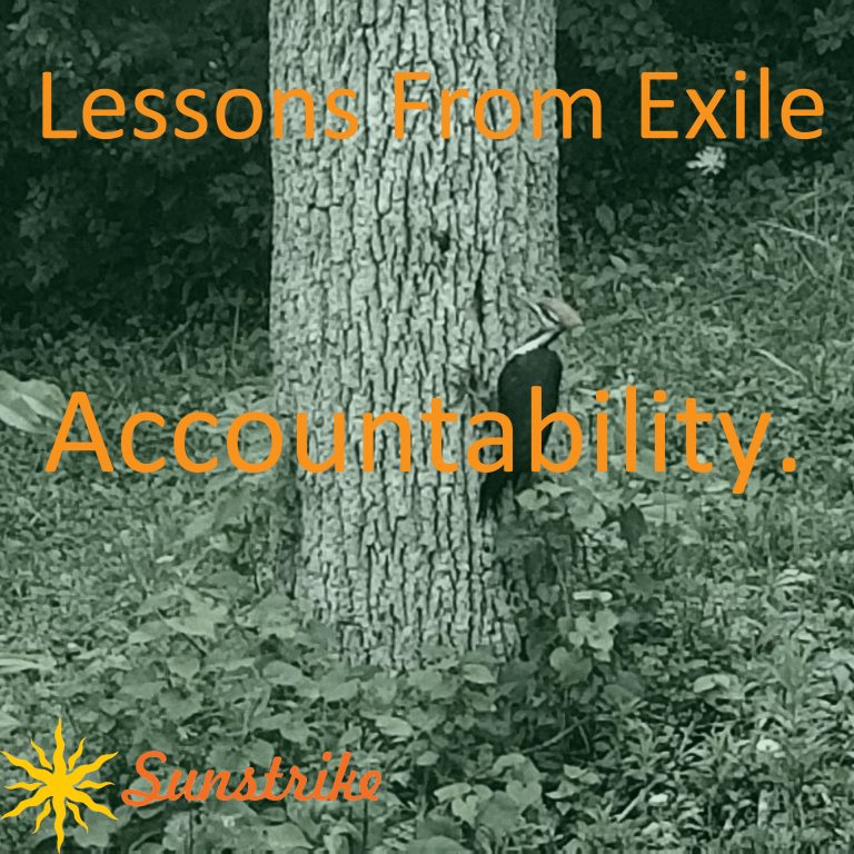 Lessons from Exile #28: Accountability