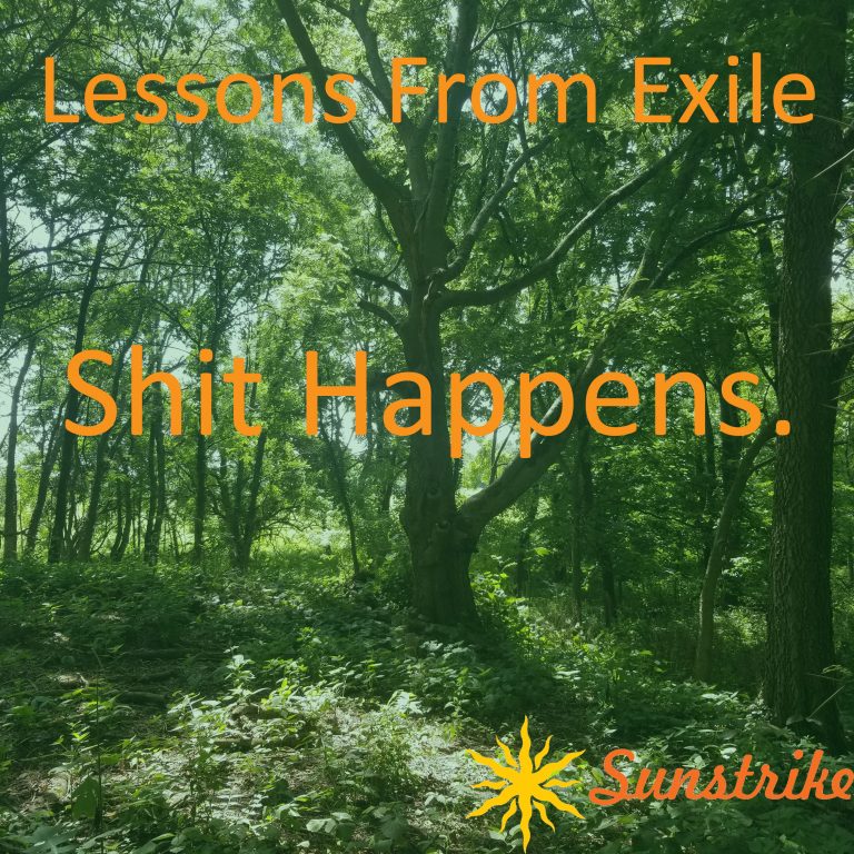 Lessons from Exile #32: Shit Happens