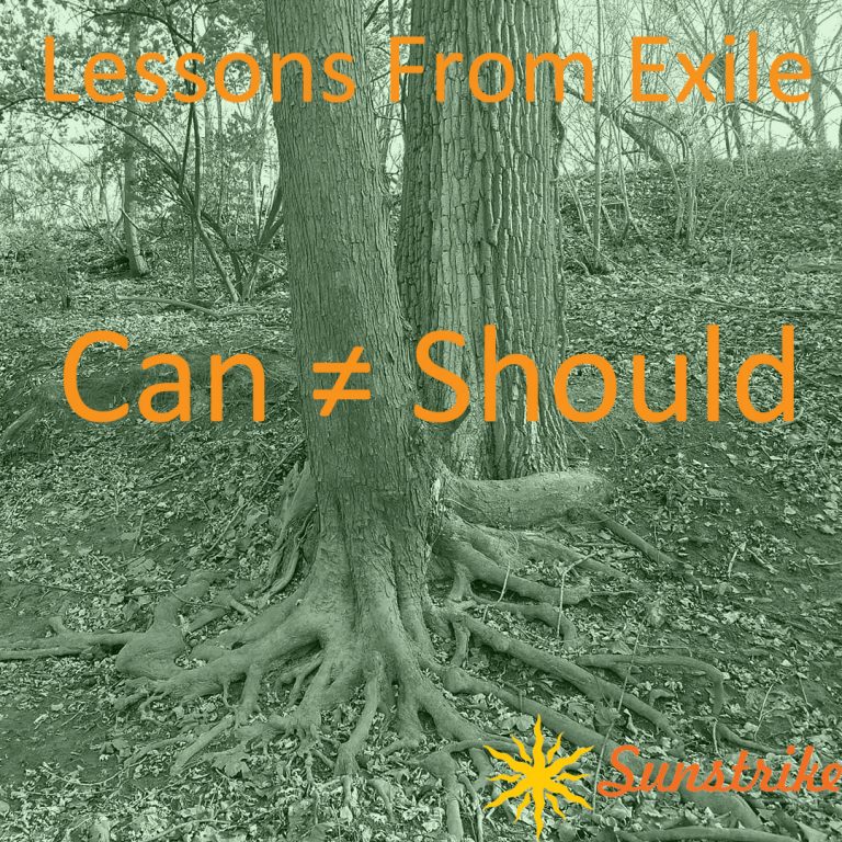 Lessons from Exile #77: Can ≠ Should