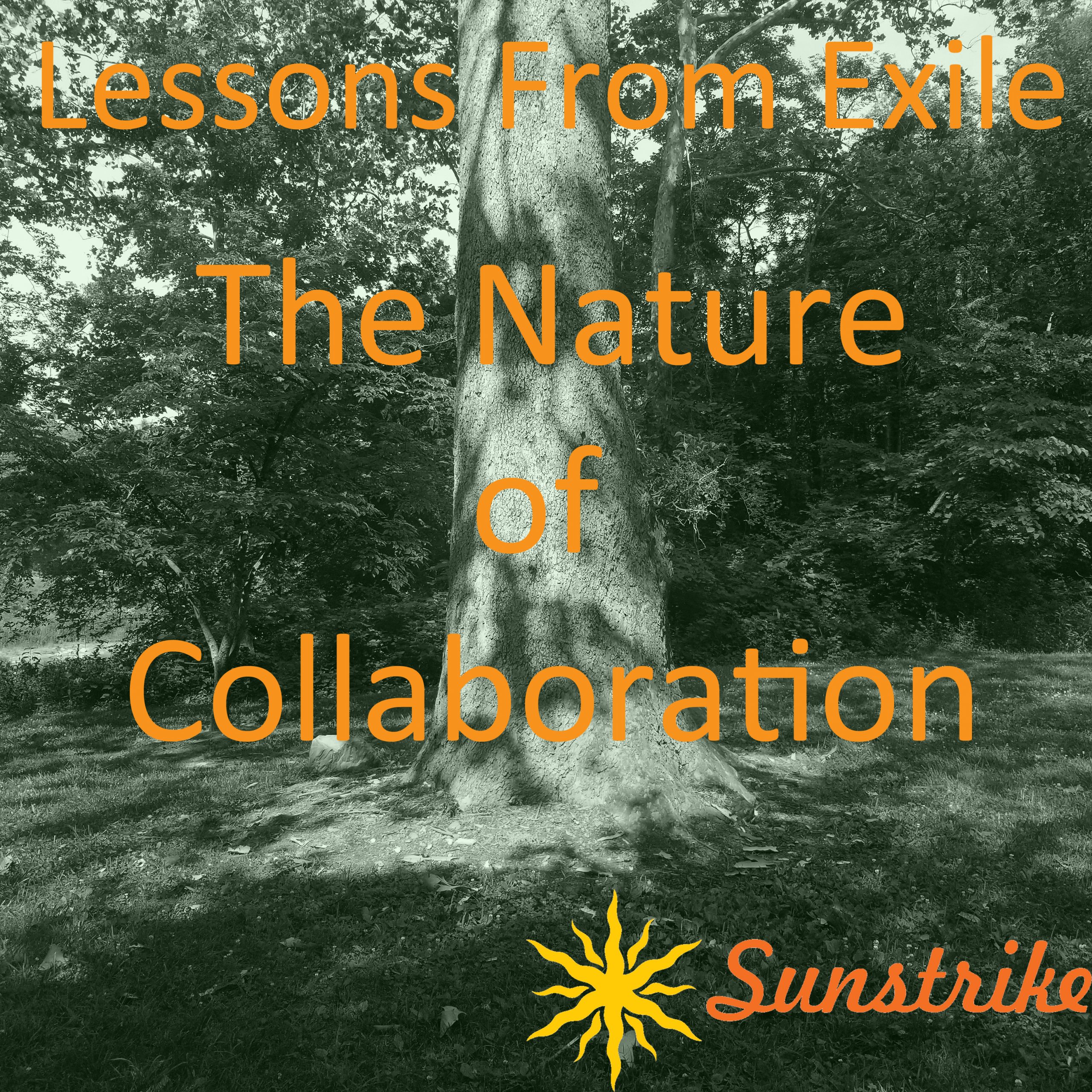 Lessons from Exile #78: The Nature of Collaboration