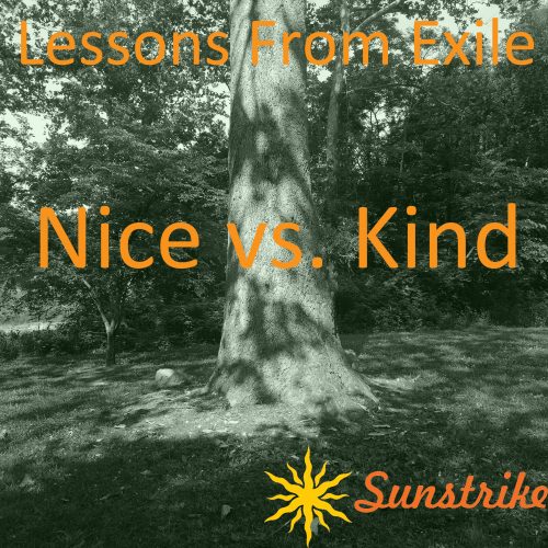 Lessons from Exile #84: Nice vs. Kind - Kareem Powell